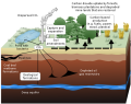 Carbon Capture Infographic