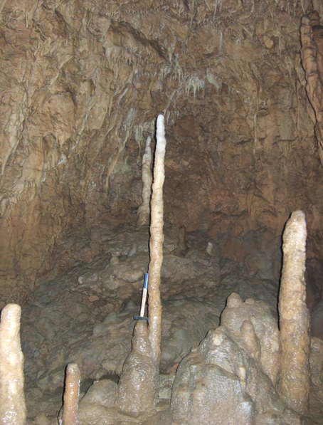 Stalagmites M6 (right) and M8 (left) collected in the "Galerie des Fistuleuses". After sampling, their respective lengths were 0.3 metres and 1.4 metres.