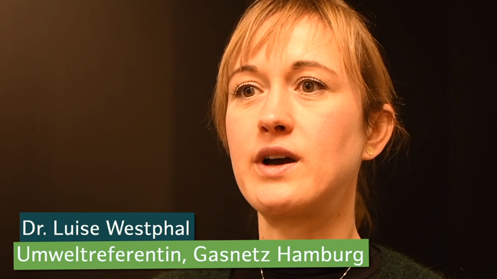 Dr. Luise Westphal, Gasnetz Hamburg