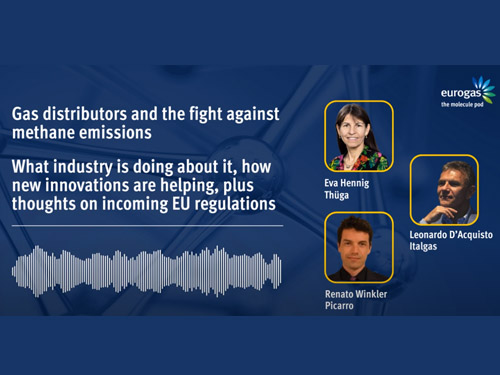 EuroGas The Molecule Pod: Ep. 6 | Gas distributors and the fight against methane emissions