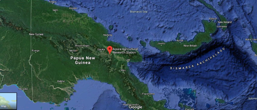 Papa New Guinea (Google Earth View)