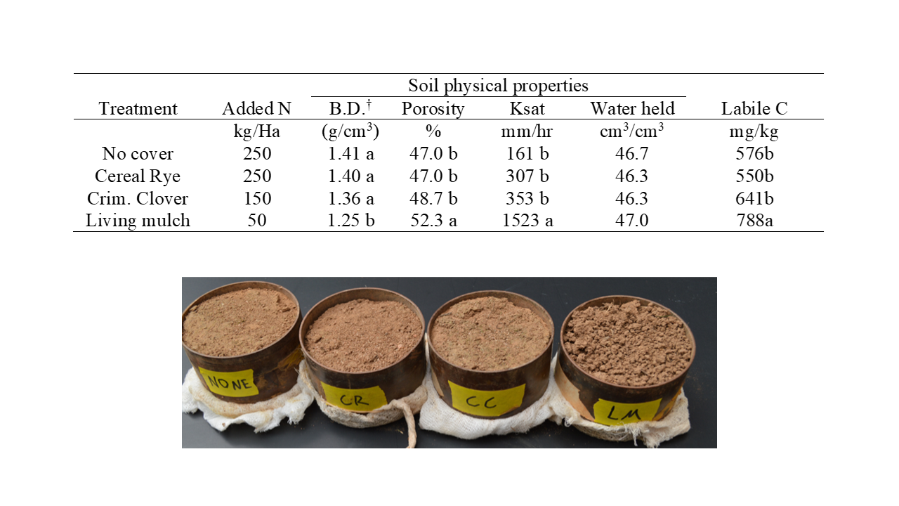 Figure 2 Soil Improvements