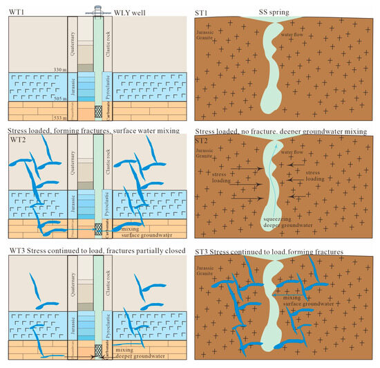 Isotopic changes in WLY and SS spring