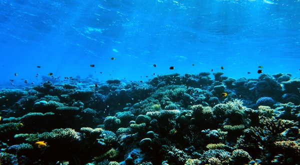 Ocean Science