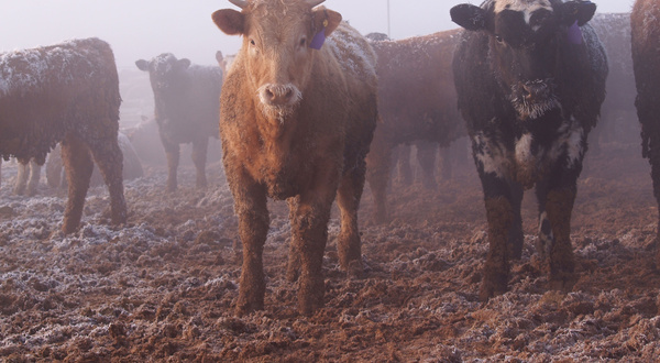 Methane