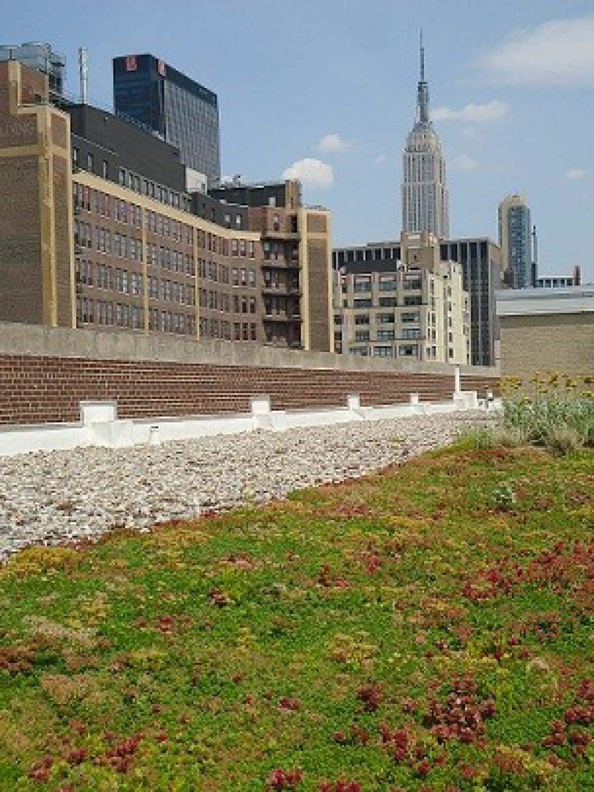 Roof Gardens Fluxes Heat Islands And Water Quality Ldeo S Nyc