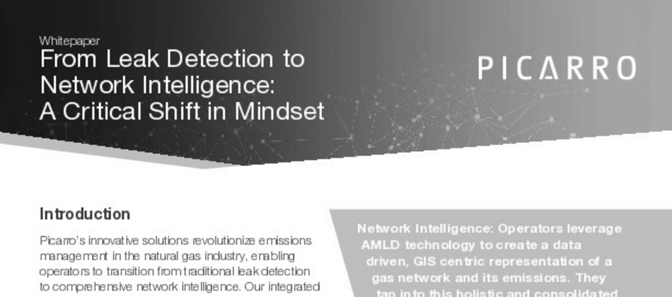network intelligence
