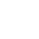 Lesni Logo